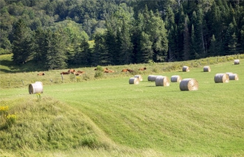 Lancement d’un projet pour soutenir les producteurs et productrices agricoles dans leurs projets agroenvironnementaux