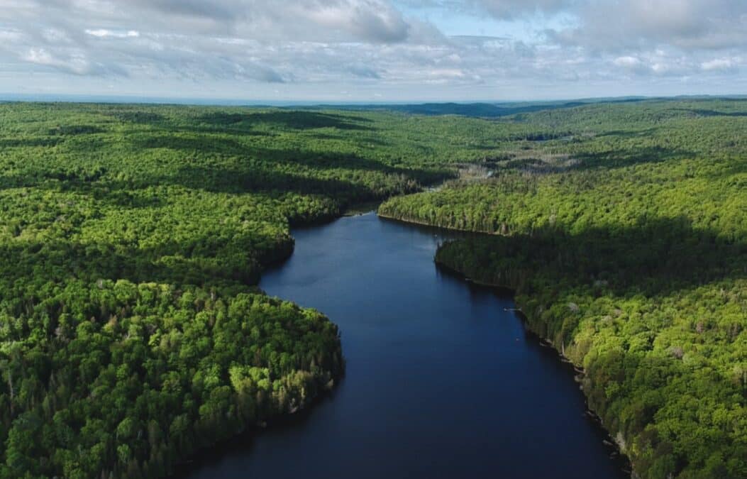 Généreux dons à l’OBV RPNS de la part de Ziptrek Ecotours et du Groupe BBA Inc.