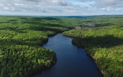 Généreux dons à l’OBV RPNS de la part de Ziptrek Ecotours et du Groupe BBA Inc.
