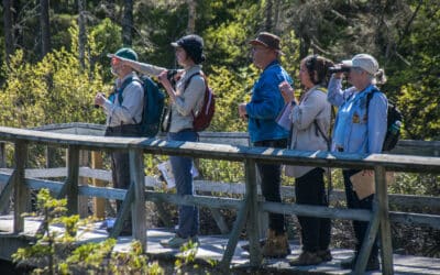 Mois de l’eau 2024 : l’OBV RPNS vous invite à son événement « Les Premières Nations et la conservation des ressources en eau »