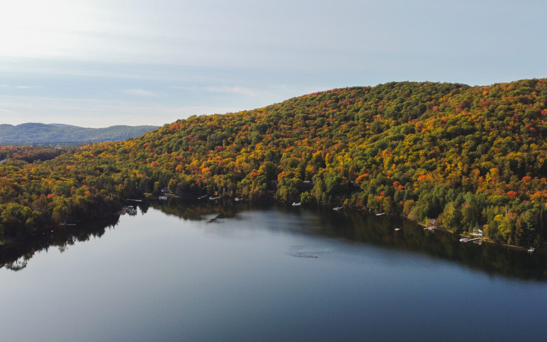 5 à 7 économique – OBV RPNS x Chambre de commerce du Grand Mont-Tremblant