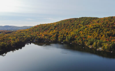 5 à 7 économique – OBV RPNS x Chambre de commerce du Grand Mont-Tremblant