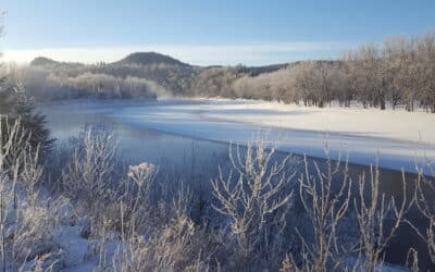 Fermeture du bureau pour le temps des Fêtes