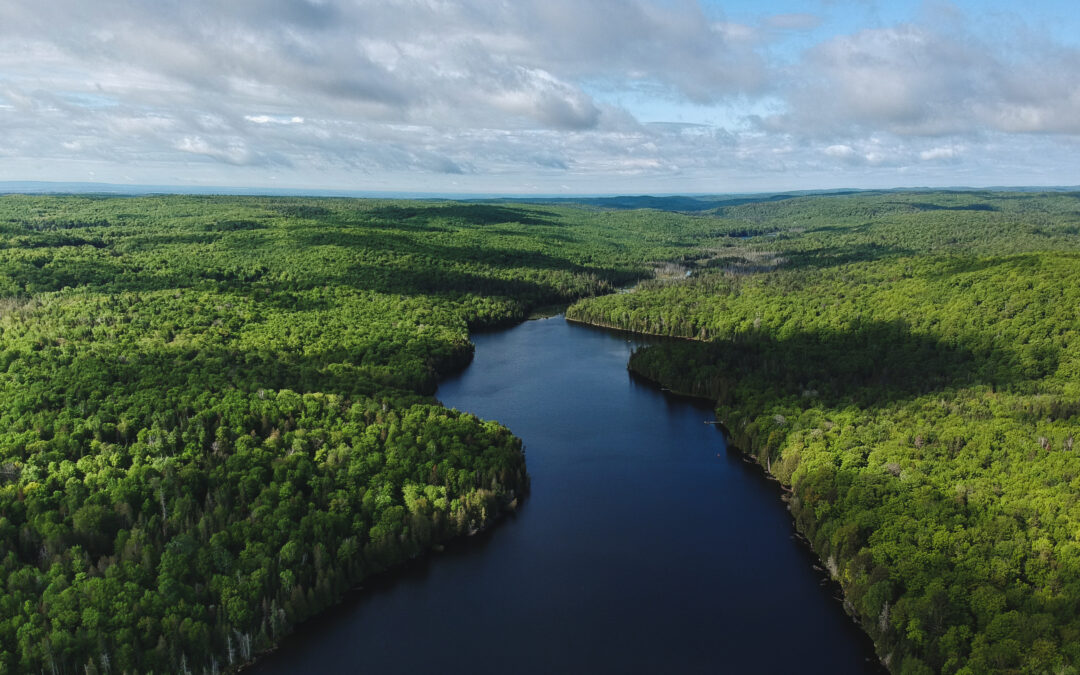 Offre d’emploi – Chargé(e) de projets en hydrologie