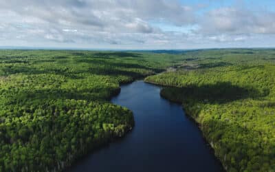 Offre de stage – Agent.e en environnement