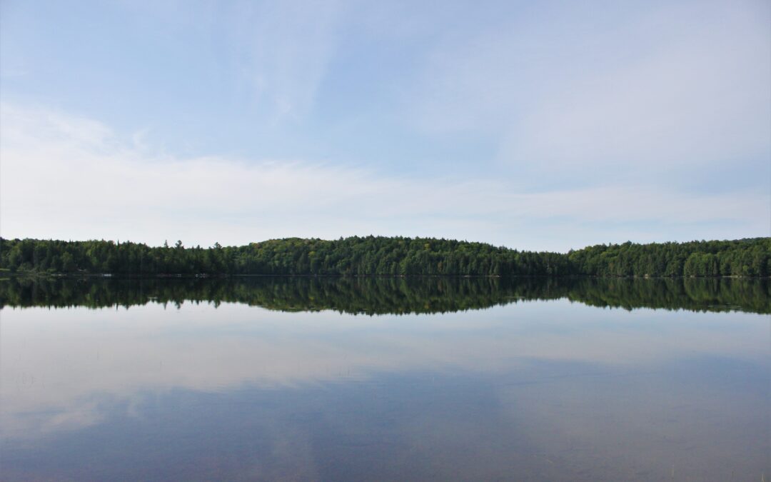 Partenariat stratégique entre Éco-corridors laurentiens et les OBV