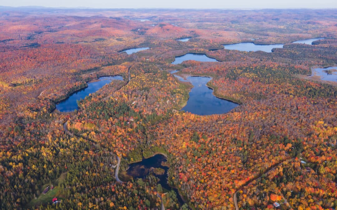 Lettre ouverte (président de l’OBV RPNS) : Pour un engagement fort en politique municipale