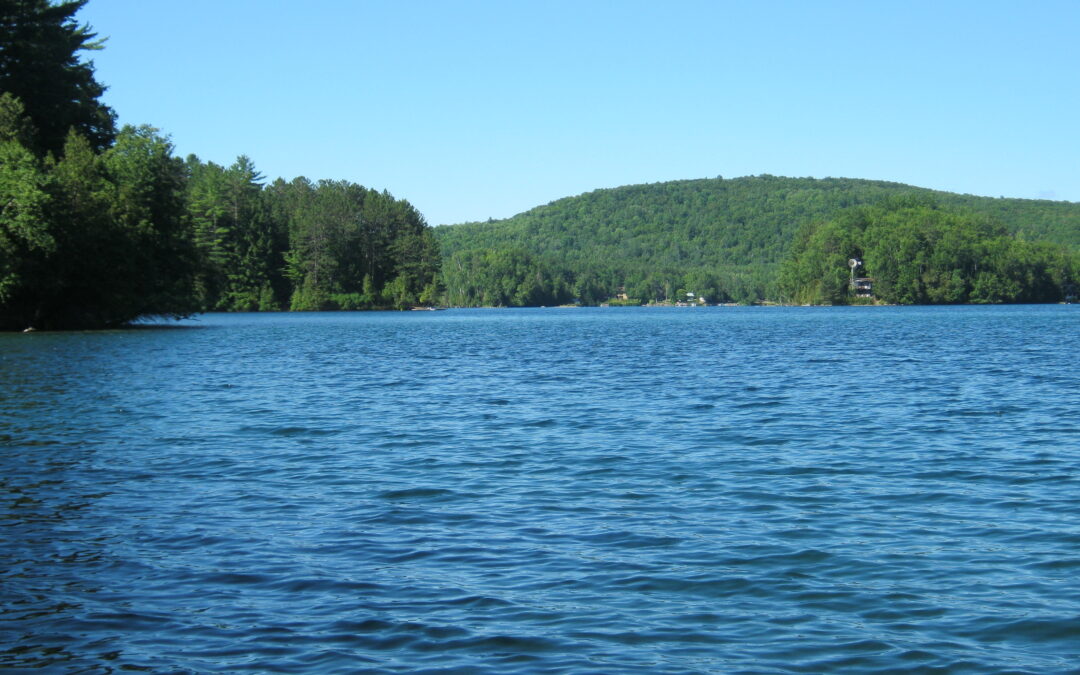 Invitation – Forum des membres et assemblée générale annuelle 2024 (jeudi 13 juin, 10h, Mont-Blanc)