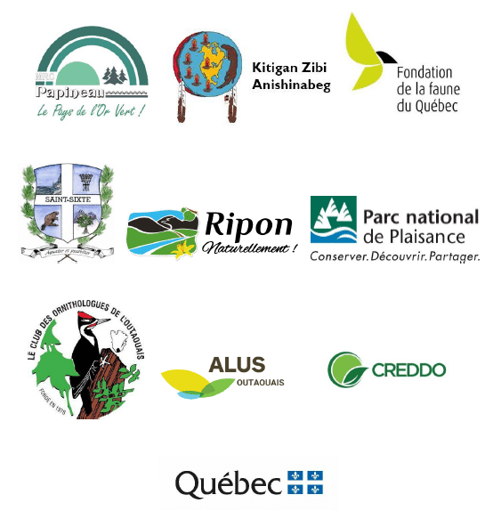 Partenaires du projet